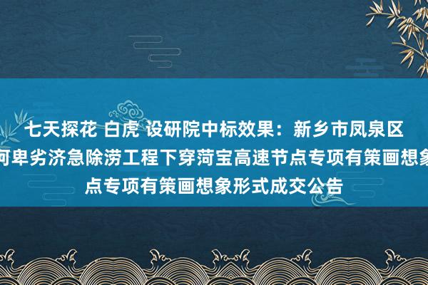 七天探花 白虎 设研院中标效果：新乡市凤泉区王门村、孟坟河卑劣济急除涝工程下穿菏宝高速节点专项有策画想象形式成交公告