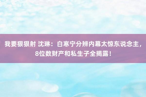 我要狠狠射 沈琳：白寒宁分辨内幕太惊东说念主，8位数财产和私生子全揭露！