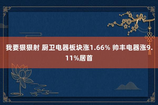 我要狠狠射 厨卫电器板块涨1.66% 帅丰电器涨9.11%居首