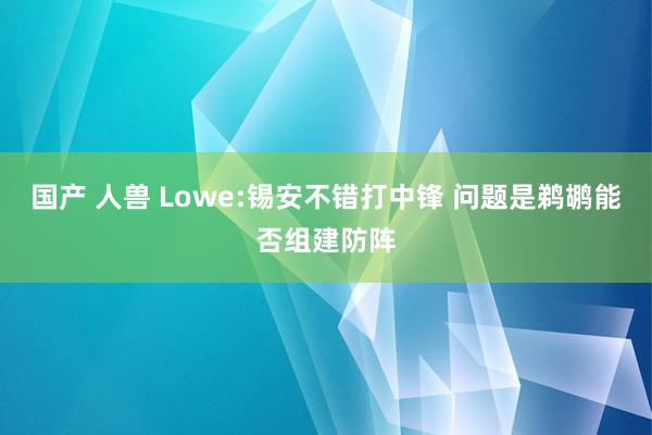 国产 人兽 Lowe:锡安不错打中锋 问题是鹈鹕能否组建防阵