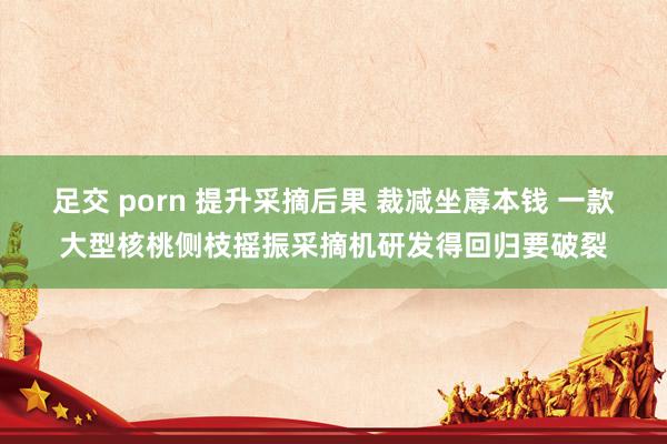 足交 porn 提升采摘后果 裁减坐蓐本钱 一款大型核桃侧枝摇振采摘机研发得回归要破裂