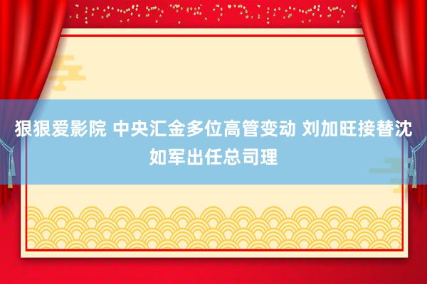 狠狠爱影院 中央汇金多位高管变动 刘加旺接替沈如军出任总司理