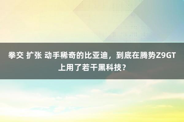 拳交 扩张 动手稀奇的比亚迪，到底在腾势Z9GT上用了若干黑科技？