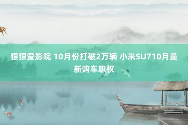 狠狠爱影院 10月份打破2万辆 小米SU710月最新购车职权