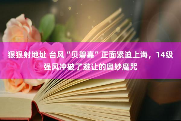 狠狠射地址 台风“贝碧嘉”正面紧迫上海，14级强风冲破了避让的奥妙魔咒