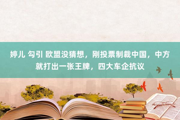 婷儿 勾引 欧盟没猜想，刚投票制裁中国，中方就打出一张王牌，四大车企抗议