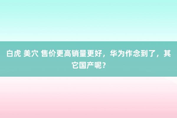 白虎 美穴 售价更高销量更好，华为作念到了，其它国产呢？