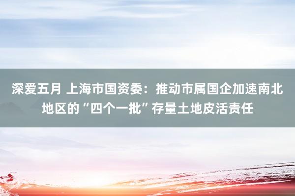 深爱五月 上海市国资委：推动市属国企加速南北地区的“四个一批”存量土地皮活责任