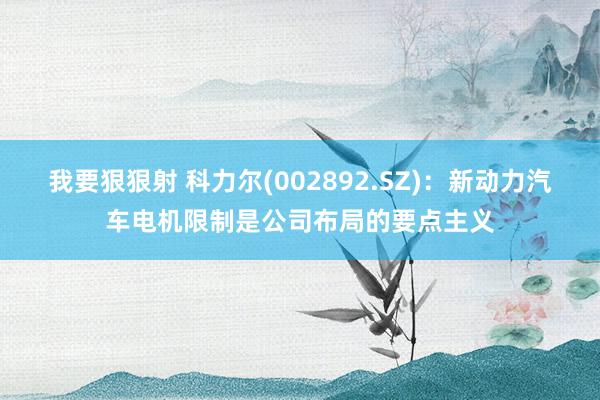 我要狠狠射 科力尔(002892.SZ)：新动力汽车电机限制是公司布局的要点主义