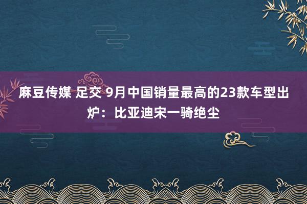 麻豆传媒 足交 9月中国销量最高的23款车型出炉：比亚迪宋一骑绝尘