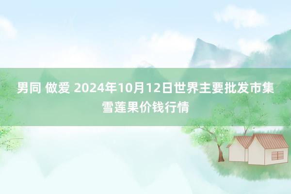 男同 做爱 2024年10月12日世界主要批发市集雪莲果价钱行情