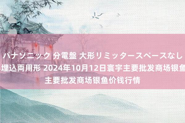 パナソニック 分電盤 大形リミッタースペースなし 露出・半埋込両用形 2024年10月12日寰宇主要批发商场银鱼价钱行情