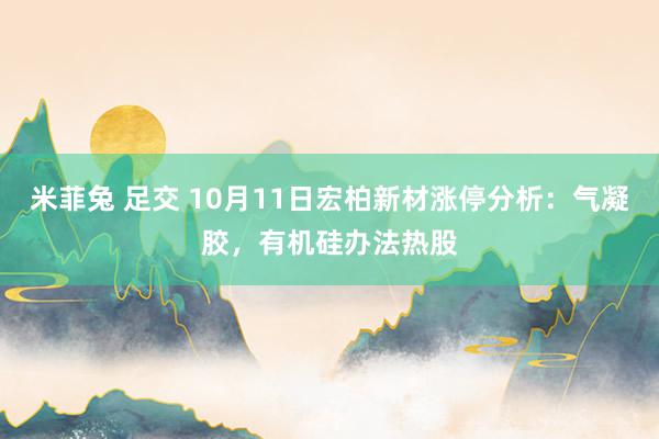 米菲兔 足交 10月11日宏柏新材涨停分析：气凝胶，有机硅办法热股