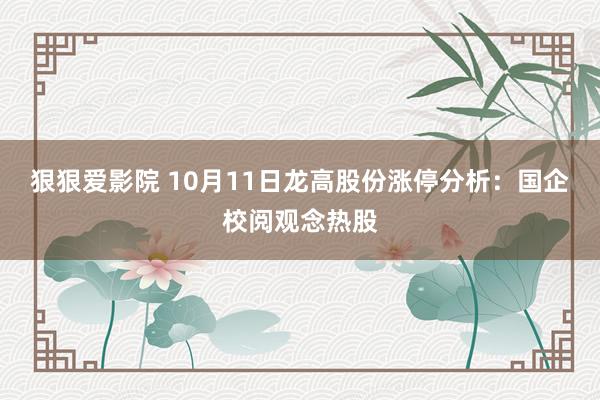 狠狠爱影院 10月11日龙高股份涨停分析：国企校阅观念热股