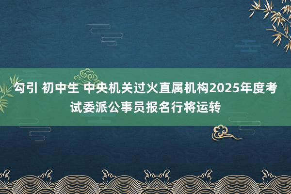 勾引 初中生 中央机关过火直属机构2025年度考试委派公事员报名行将运转