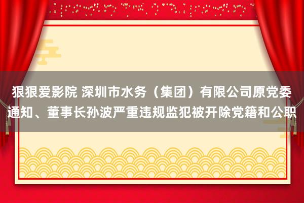 狠狠爱影院 深圳市水务（集团）有限公司原党委通知、董事长孙波严重违规监犯被开除党籍和公职