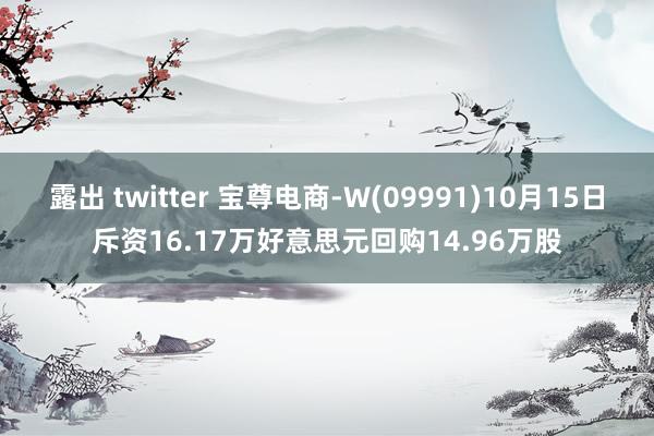 露出 twitter 宝尊电商-W(09991)10月15日斥资16.17万好意思元回购14.96万股