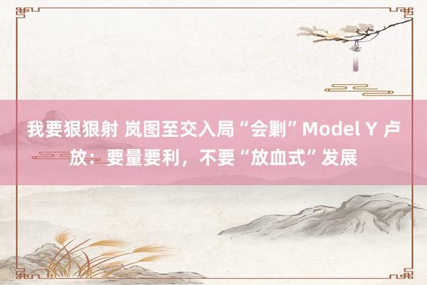 我要狠狠射 岚图至交入局“会剿”Model Y 卢放：要量要利，不要“放血式”发展