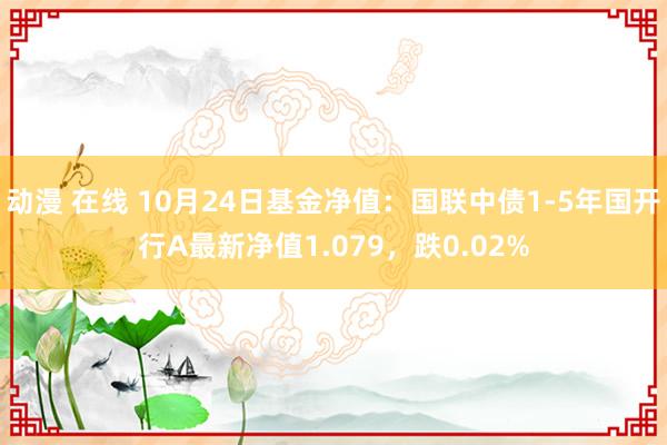 动漫 在线 10月24日基金净值：国联中债1-5年国开行A最新净值1.079，跌0.02%