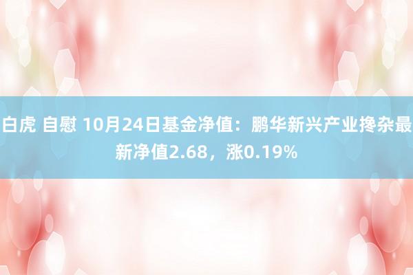 白虎 自慰 10月24日基金净值：鹏华新兴产业搀杂最新净值2.68，涨0.19%