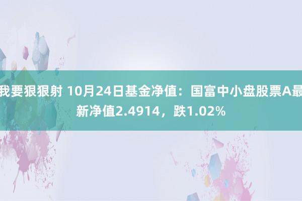 我要狠狠射 10月24日基金净值：国富中小盘股票A最新净值2.4914，跌1.02%