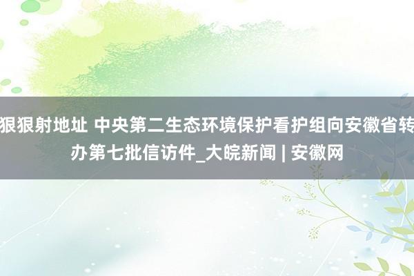 狠狠射地址 中央第二生态环境保护看护组向安徽省转办第七批信访件_大皖新闻 | 安徽网