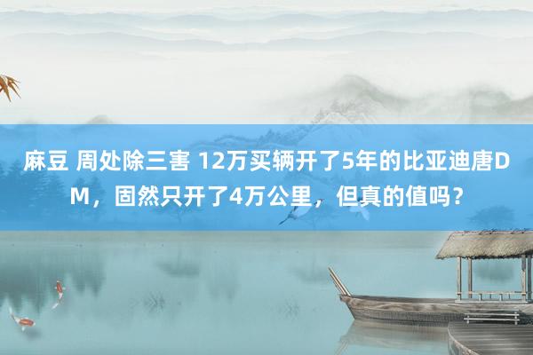 麻豆 周处除三害 12万买辆开了5年的比亚迪唐DM，固然只开了4万公里，但真的值吗？