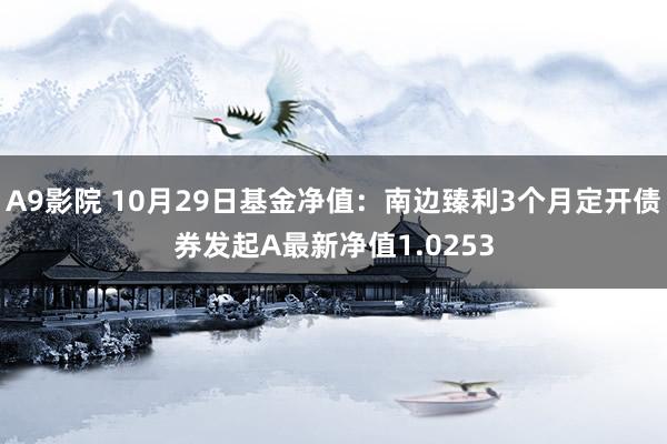 A9影院 10月29日基金净值：南边臻利3个月定开债券发起A最新净值1.0253