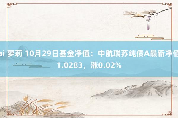 ai 萝莉 10月29日基金净值：中航瑞苏纯债A最新净值1.0283，涨0.02%