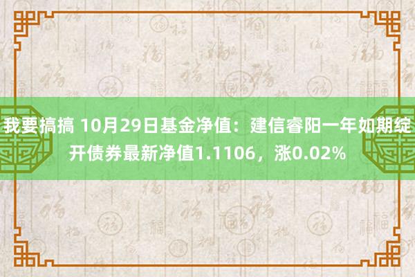 我要搞搞 10月29日基金净值：建信睿阳一年如期绽开债券最新净值1.1106，涨0.02%