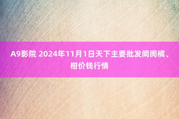 A9影院 2024年11月1日天下主要批发阛阓橘、柑价钱行情