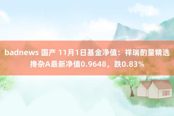 badnews 国产 11月1日基金净值：祥瑞酌量精选搀杂A最新净值0.9648，跌0.83%