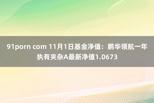 91porn com 11月1日基金净值：鹏华领航一年执有夹杂A最新净值1.0673