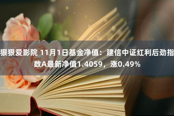 狠狠爱影院 11月1日基金净值：建信中证红利后劲指数A最新净值1.4059，涨0.49%