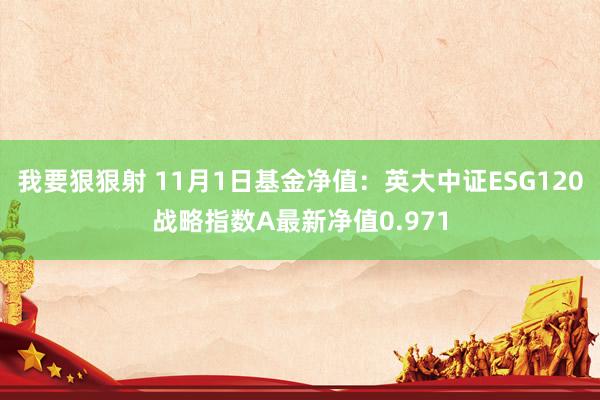 我要狠狠射 11月1日基金净值：英大中证ESG120战略指数A最新净值0.971