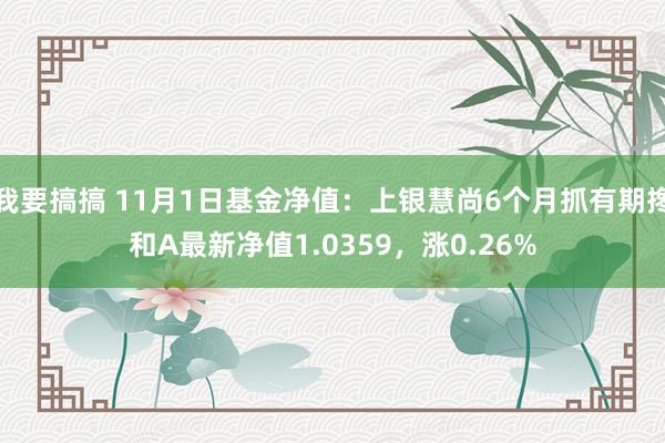 我要搞搞 11月1日基金净值：上银慧尚6个月抓有期搀和A最新净值1.0359，涨0.26%