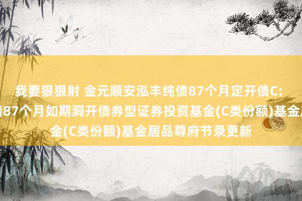 我要狠狠射 金元顺安泓丰纯债87个月定开债C: 金元顺安泓丰纯债87个月如期洞开债券型证券投资基金(C类份额)基金居品尊府节录更新