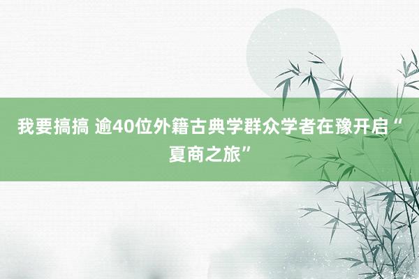 我要搞搞 逾40位外籍古典学群众学者在豫开启“夏商之旅”