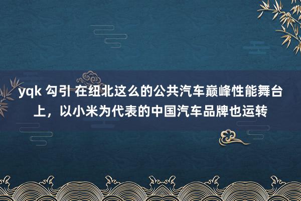 yqk 勾引 在纽北这么的公共汽车巅峰性能舞台上，以小米为代表的中国汽车品牌也运转