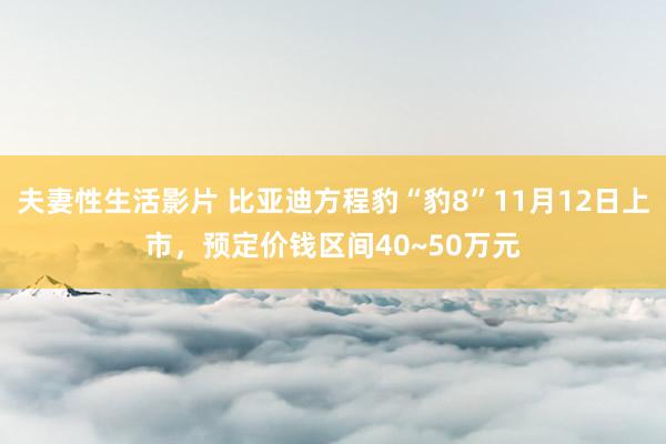 夫妻性生活影片 比亚迪方程豹“豹8”11月12日上市，预定价钱区间40~50万元