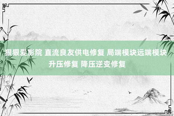 狠狠爱影院 直流良友供电修复 局端模块远端模块 升压修复 降压逆变修复