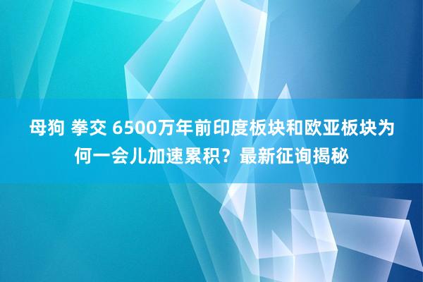 母狗 拳交 6500万年前印度板块和欧亚板块为何一会儿加速累积？最新征询揭秘