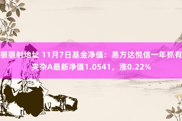 狠狠射地址 11月7日基金净值：易方达悦信一年抓有夹杂A最新净值1.0541，涨0.22%