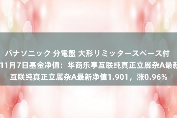 パナソニック 分電盤 大形リミッタースペース付 露出・半埋込両用形 11月7日基金净值：华商乐享互联纯真正立羼杂A最新净值1.901，涨0.96%