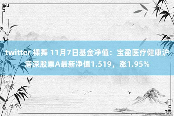 twitter 裸舞 11月7日基金净值：宝盈医疗健康沪港深股票A最新净值1.519，涨1.95%