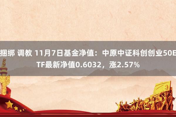 捆绑 调教 11月7日基金净值：中原中证科创创业50ETF最新净值0.6032，涨2.57%