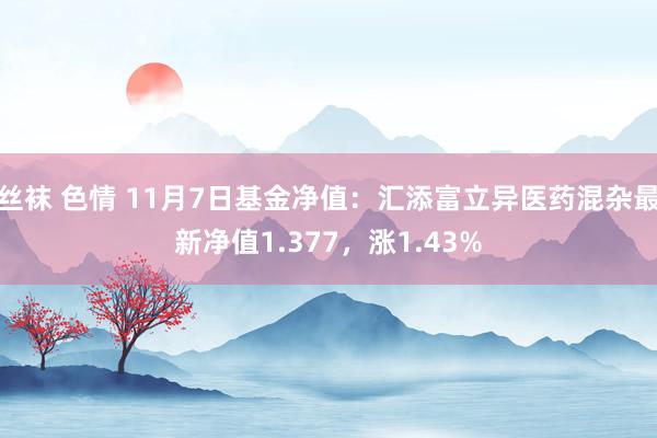 丝袜 色情 11月7日基金净值：汇添富立异医药混杂最新净值1.377，涨1.43%