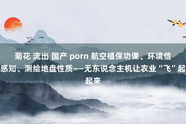 菊花 流出 国产 porn 航空植保功课、环境信息感知、测绘地盘性质——无东说念主机让农业“飞”起来