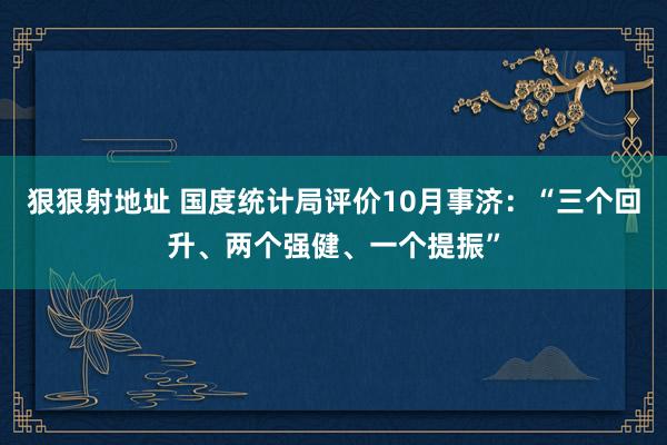 狠狠射地址 国度统计局评价10月事济：“三个回升、两个强健、一个提振”