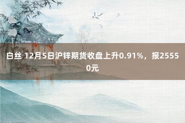 白丝 12月5日沪锌期货收盘上升0.91%，报25550元